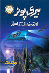 uploaded image